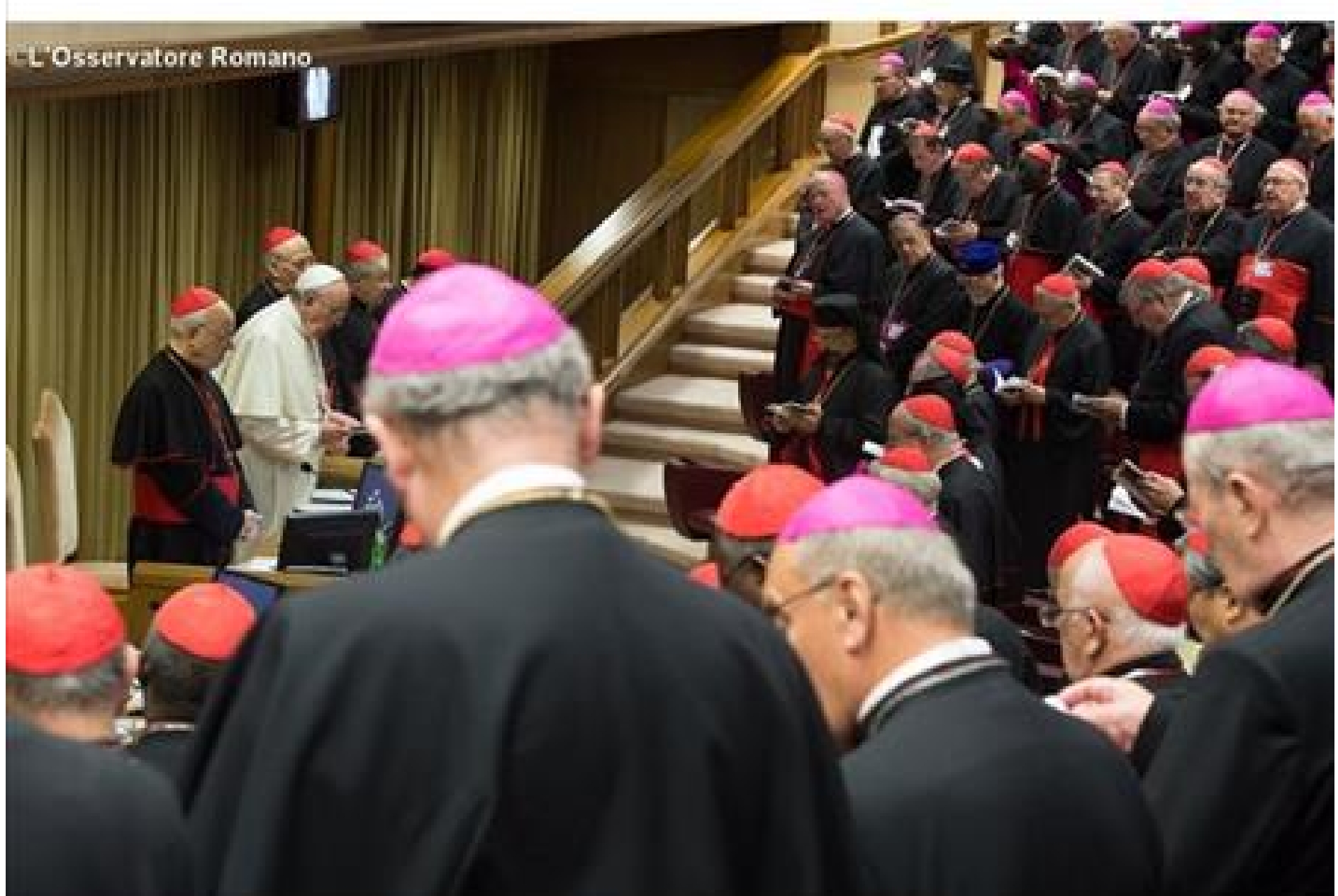 Công việc chuẩn bị Thượng Hội đồng Giám mục 2015