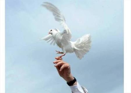 Chủ đề Ngày Hoà bình Thế giới 2016: “Vượt thắng sự thờ ơ để có hoà bình”