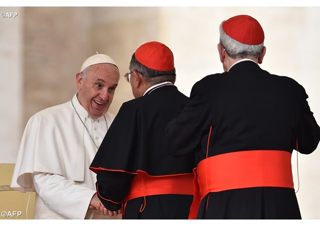 Vatican: Họp Hội đồng Hồng y tư vấn về việc phân quyền và thành lập các cơ quan mới trong Giáo triều