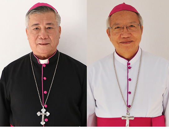 ĐTC Phanxicô thiết lập giáo phận Hà Tĩnh, bổ nhiệm Giám mục giáo phận Vinh và Hà Tĩnh